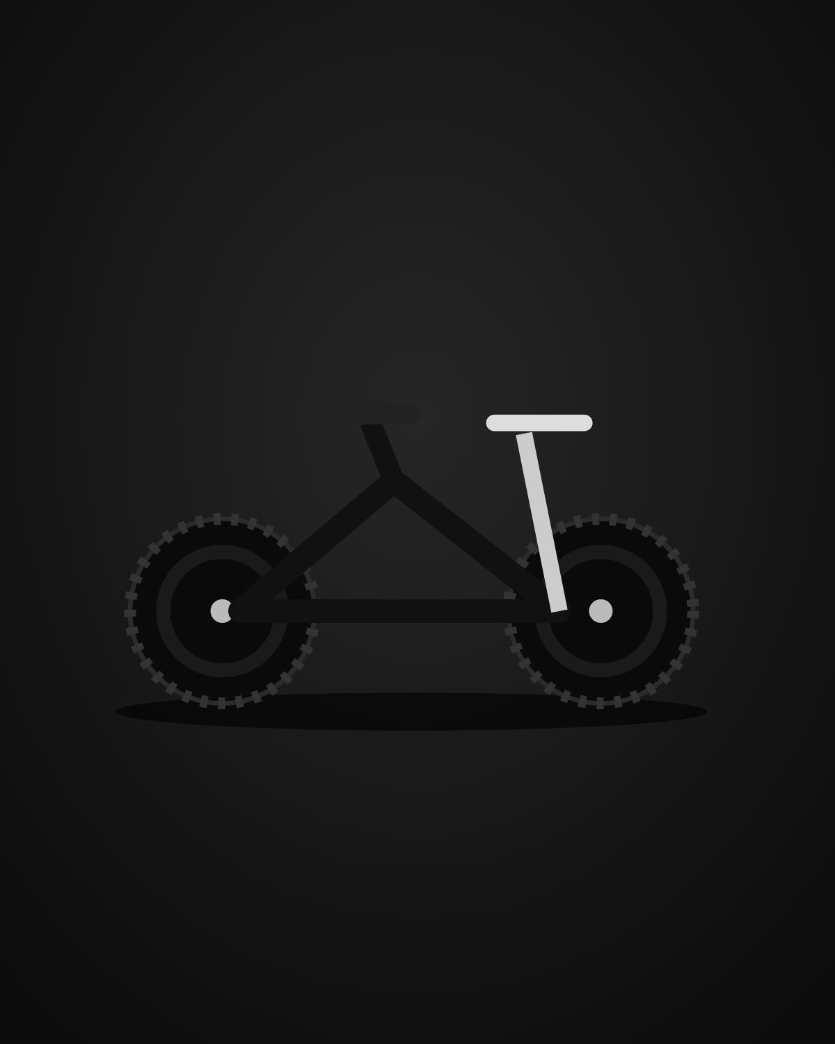 Mini Enduro MTB