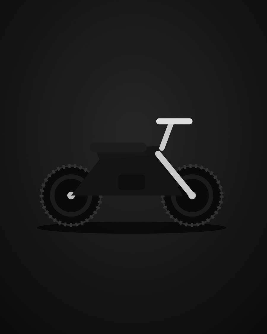 E-Ride Pro SS in Black